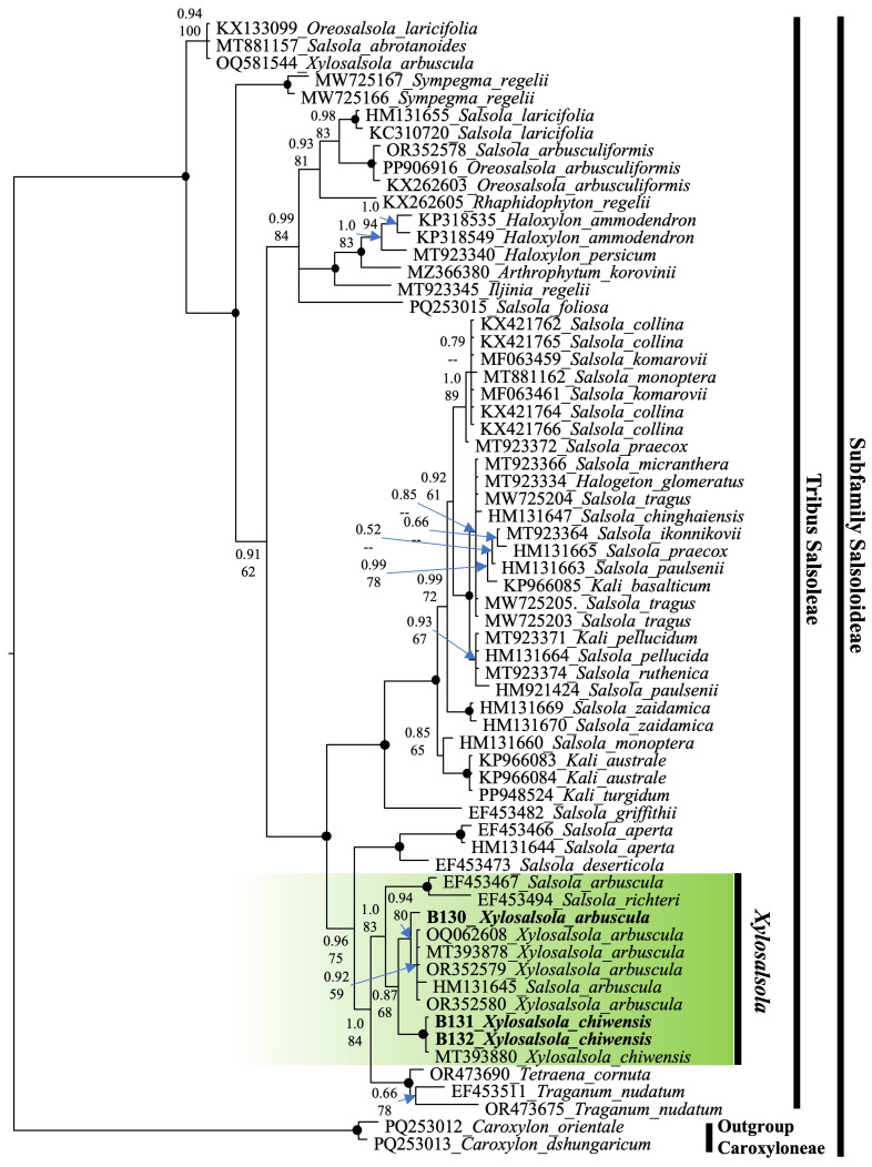 Figure 9