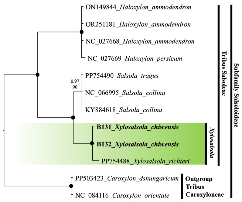 Figure 10