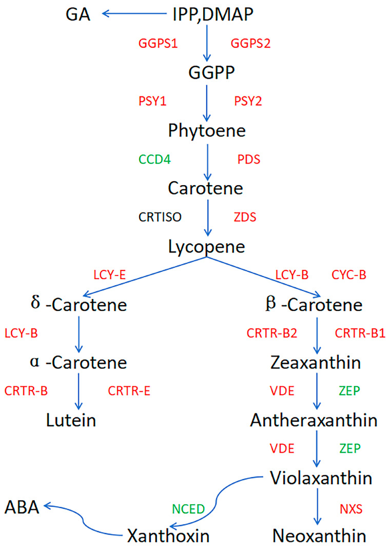 Figure 9