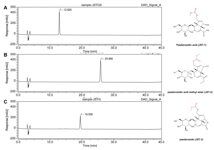Figure 11