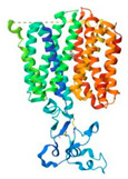 Figure 13