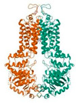 Figure 17