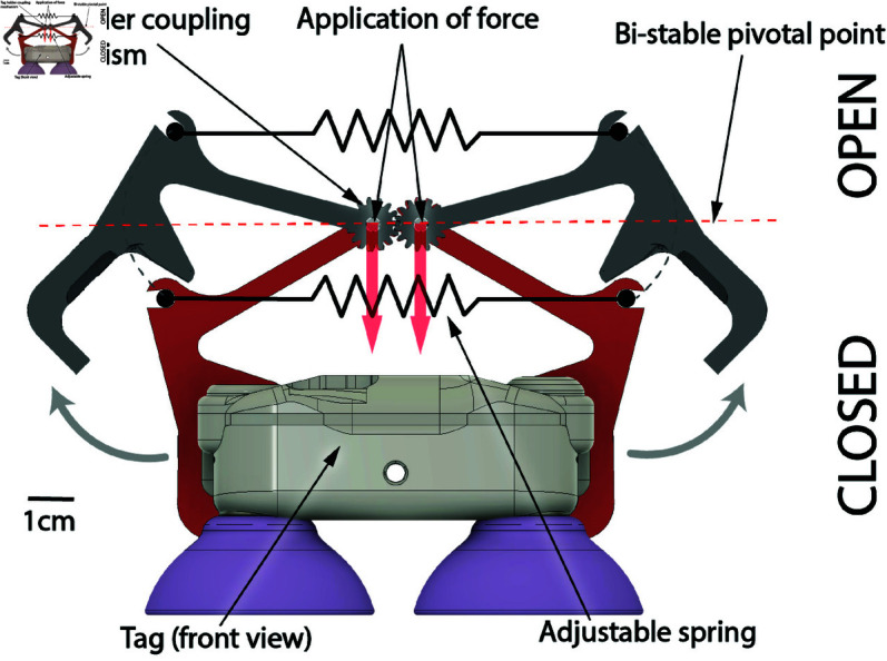 Fig 3
