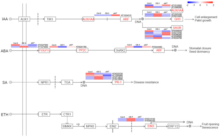 Figure 10