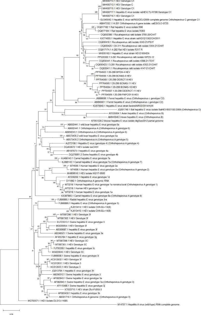 Fig 2