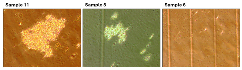 Figure 17