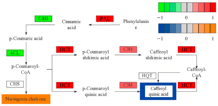 Figure 13