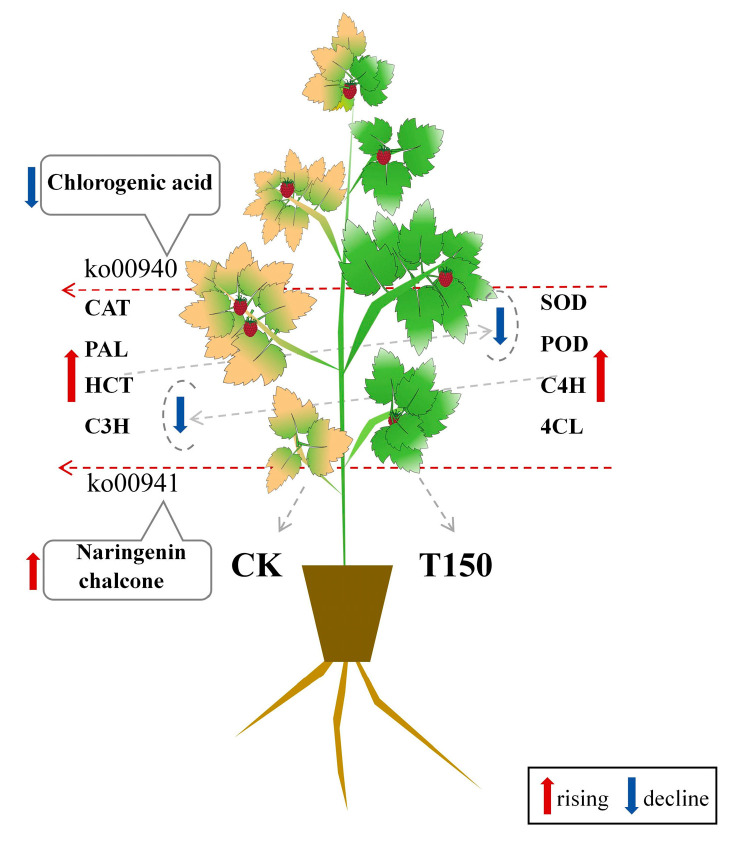 Figure 14