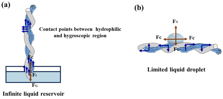 Figure 8