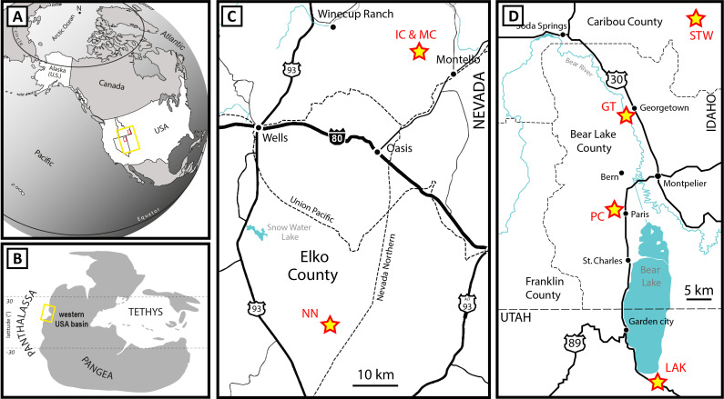 Fig 1