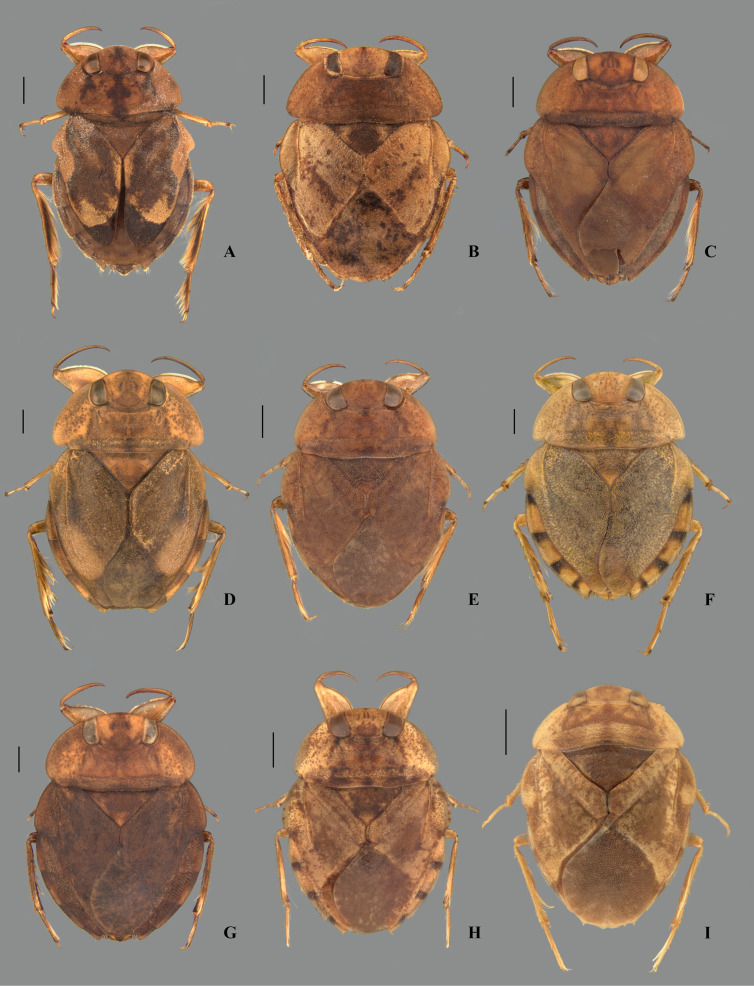 Fig 4