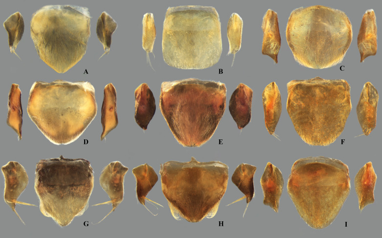 Fig 10