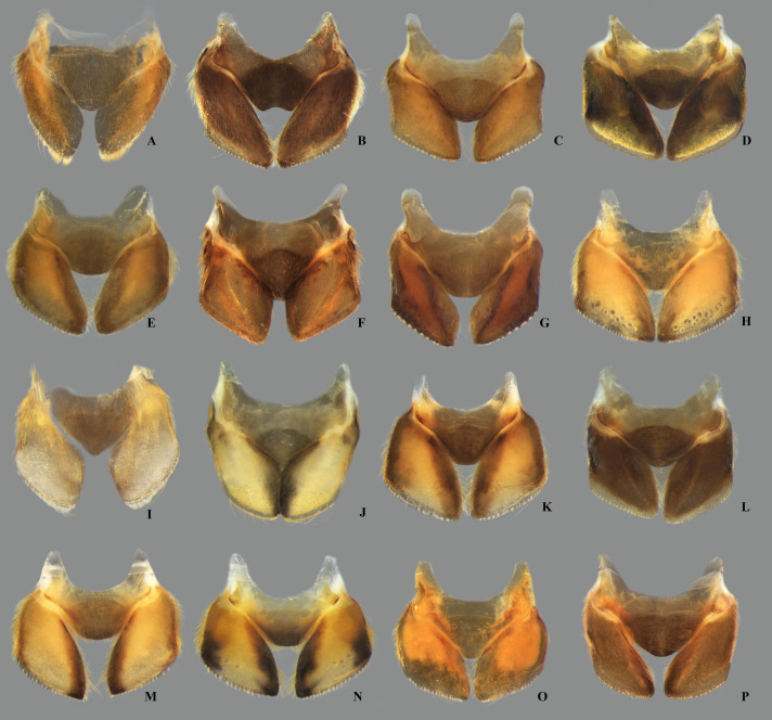 Fig 11
