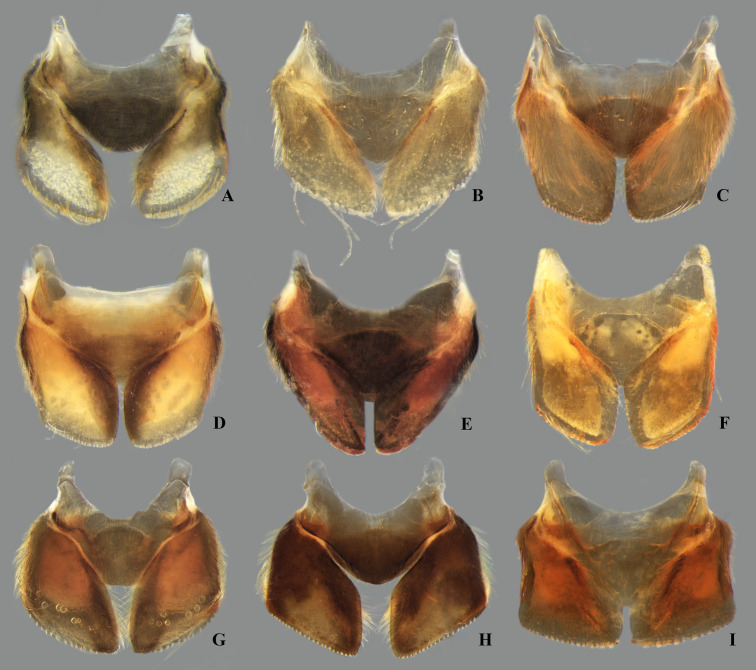 Fig 12