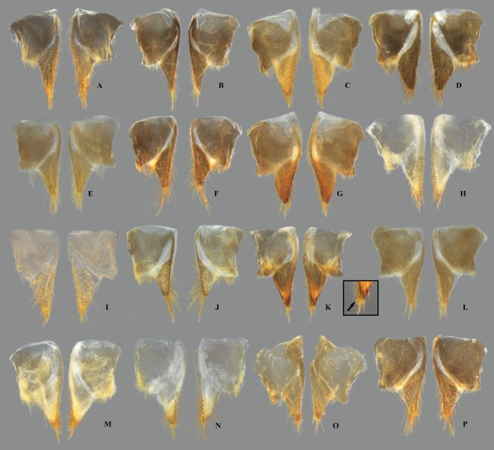Fig 13