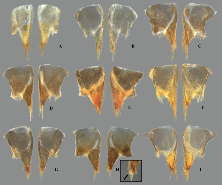 Fig 14