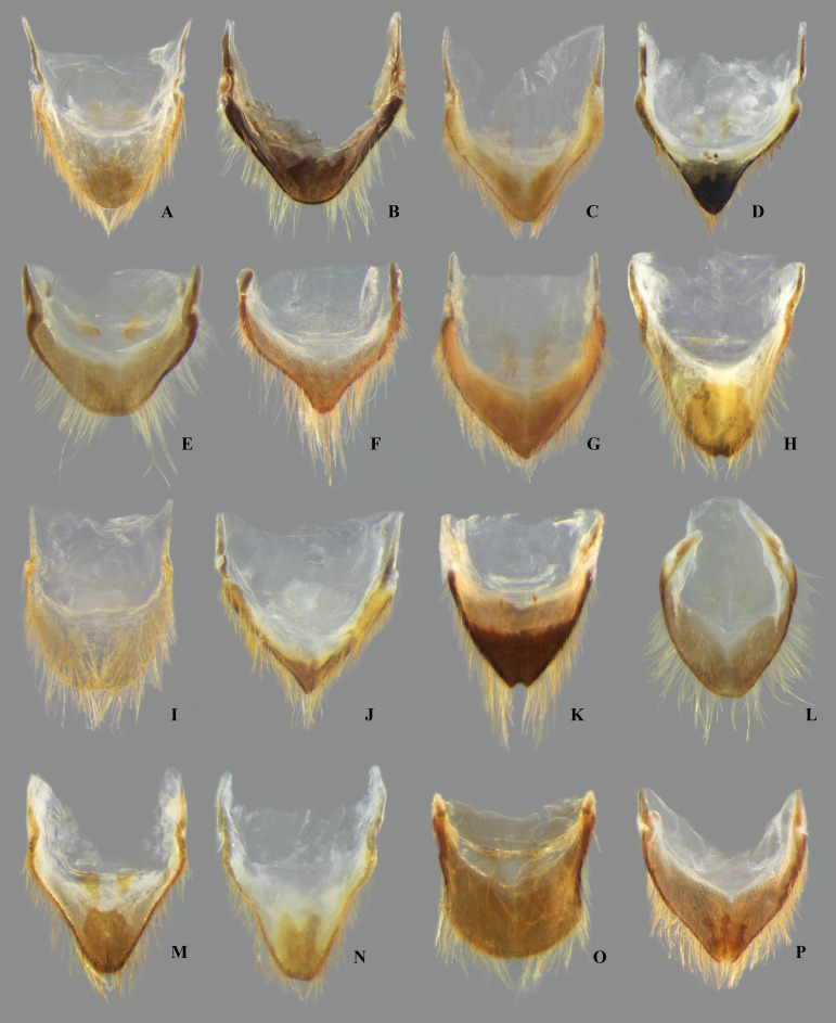 Fig 15