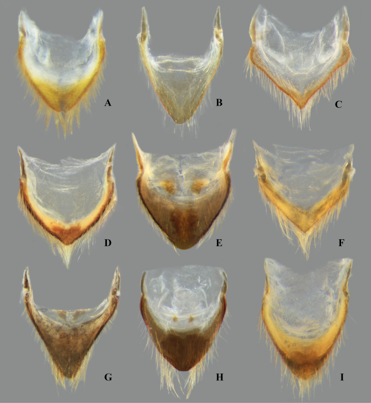 Fig 16
