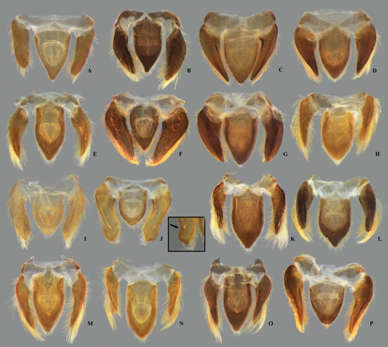 Fig 17