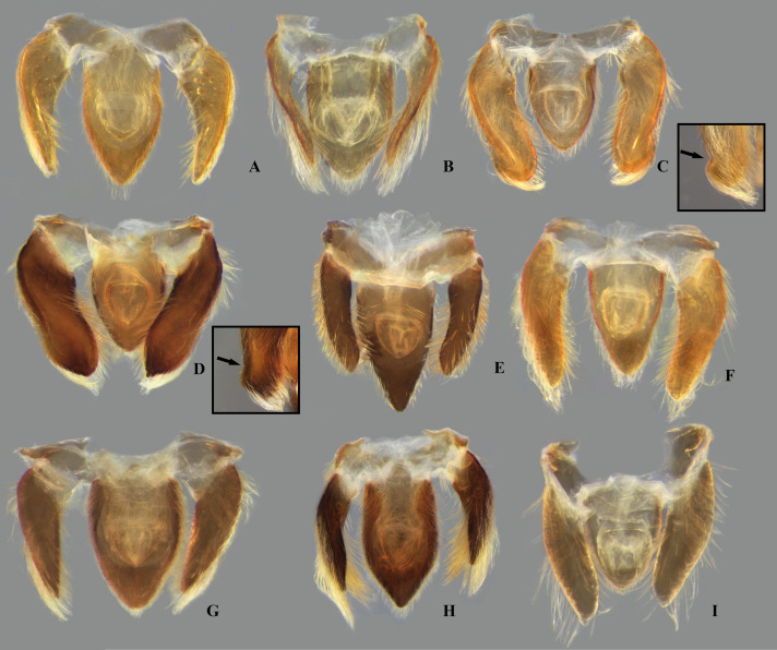 Fig 18