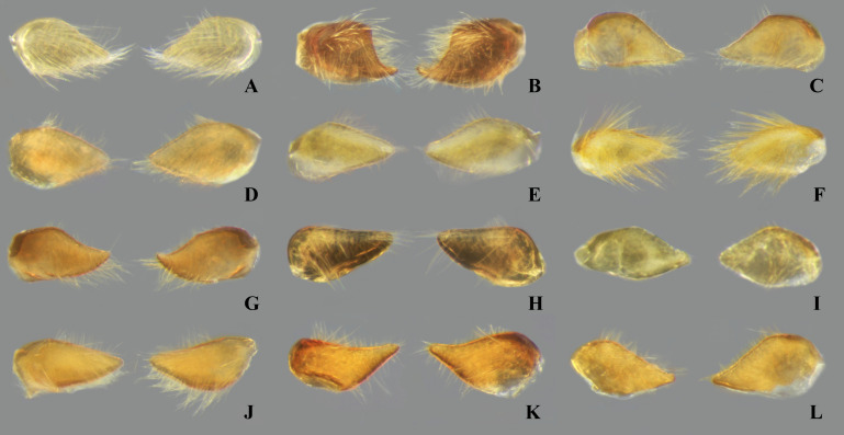 Fig 23