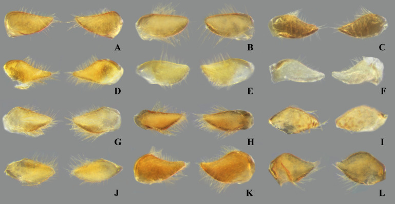 Fig 24
