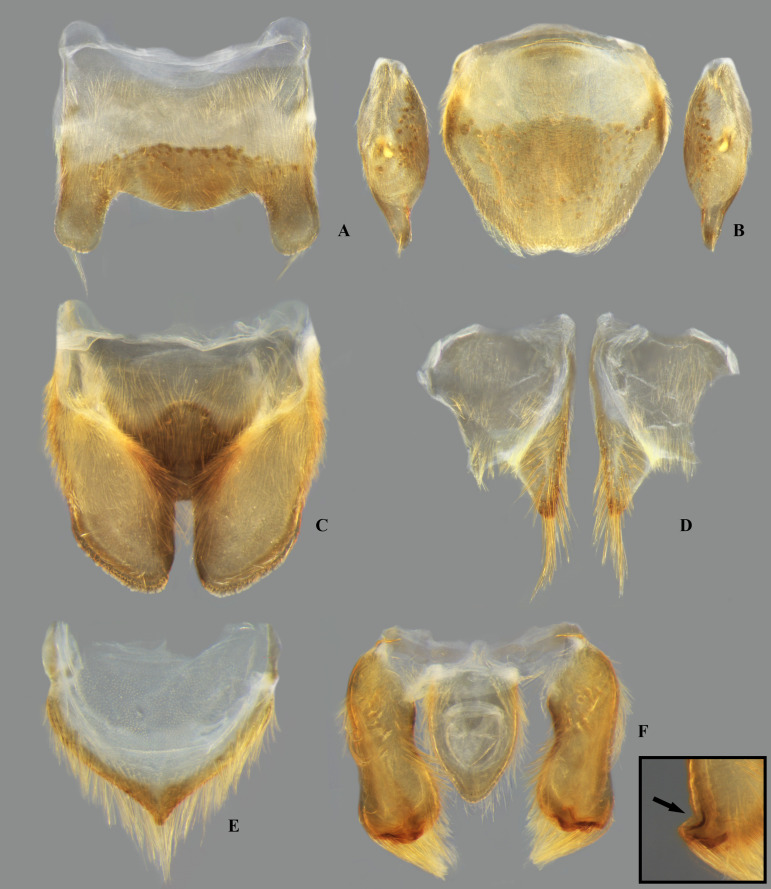 Fig 26