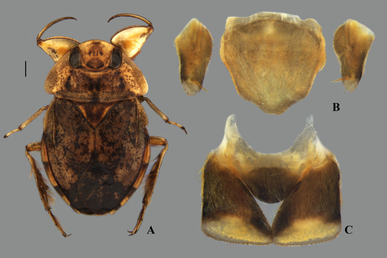 Fig 28