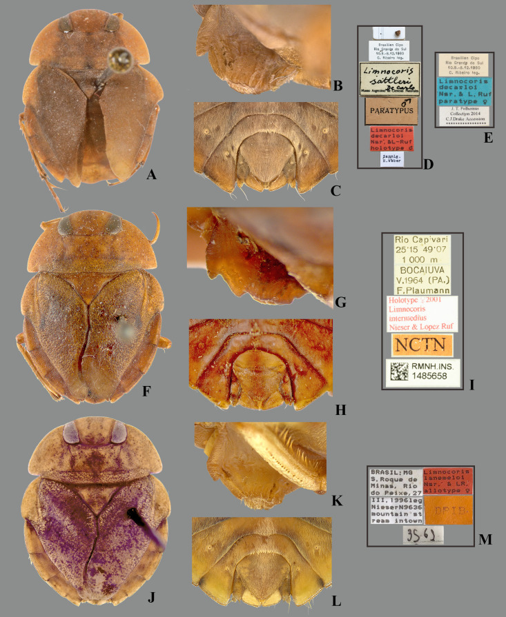 Fig 29