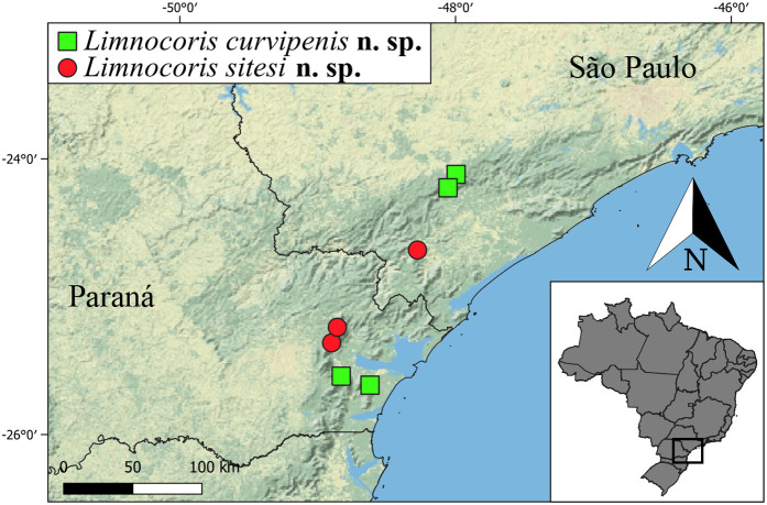 Fig 32