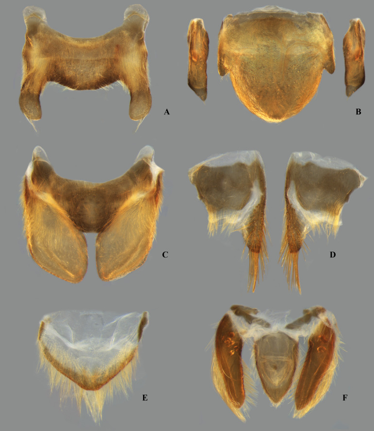 Fig 34