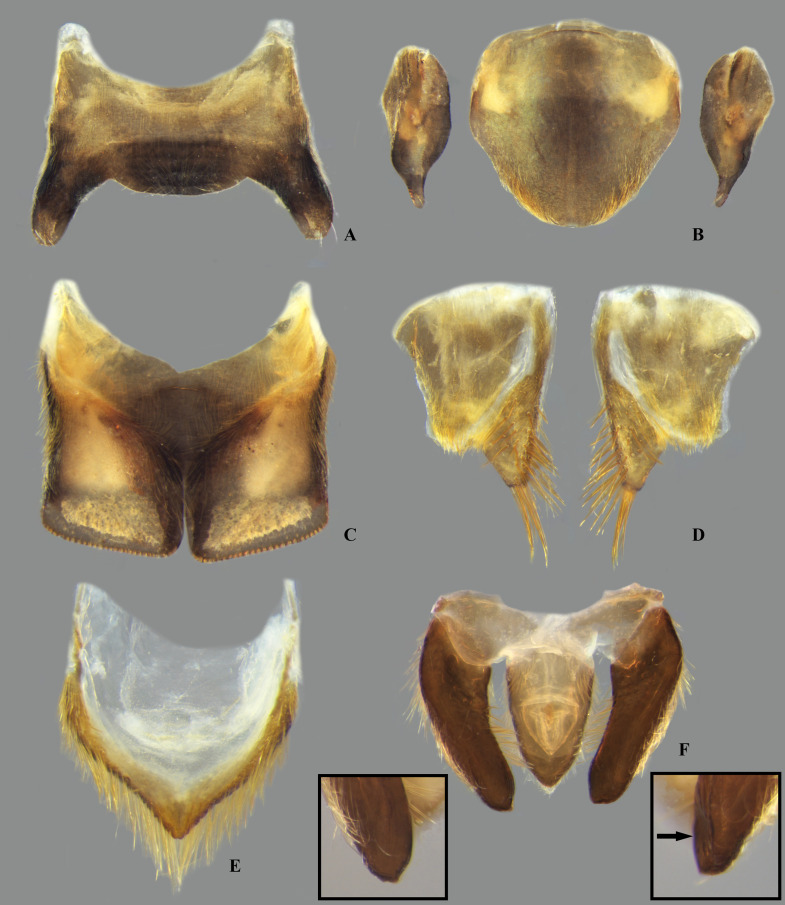 Fig 37