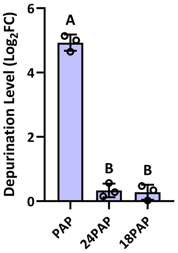 Figure 8