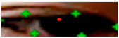 Figure 21