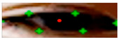 Figure 25