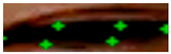 Figure 26