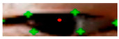 Figure 29