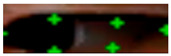 Figure 30