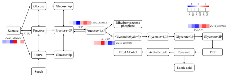 Figure 9