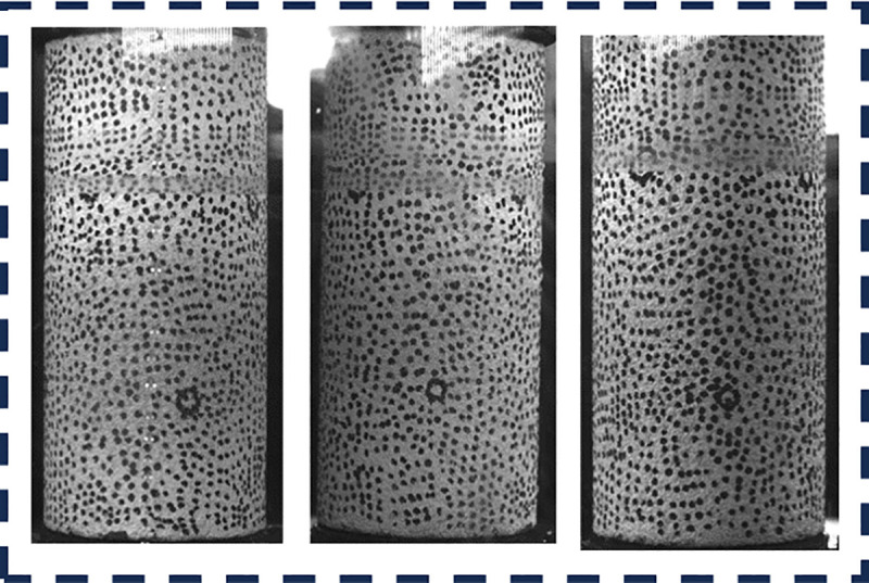 Fig 5