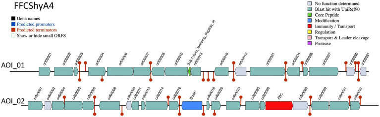 Figure 4
