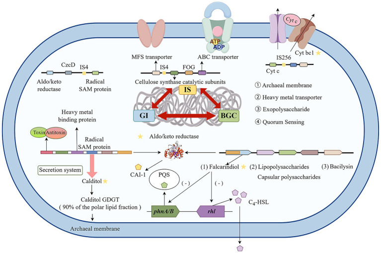 Figure 8