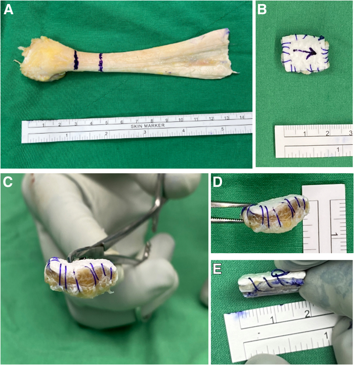 Figure 10