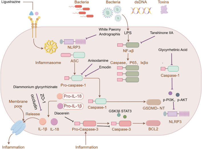 Figure 15