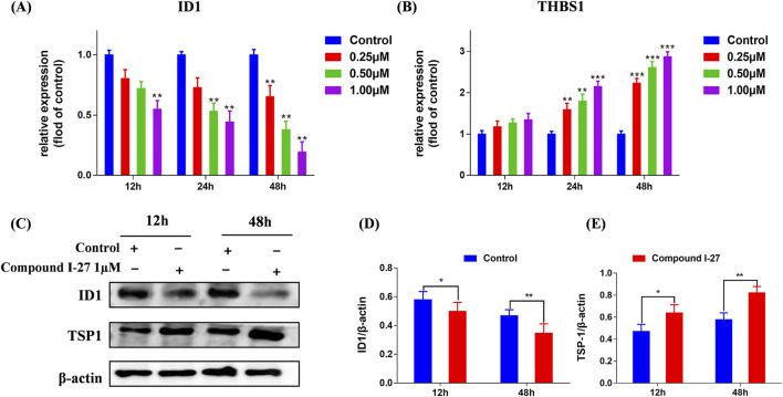 Figure 29