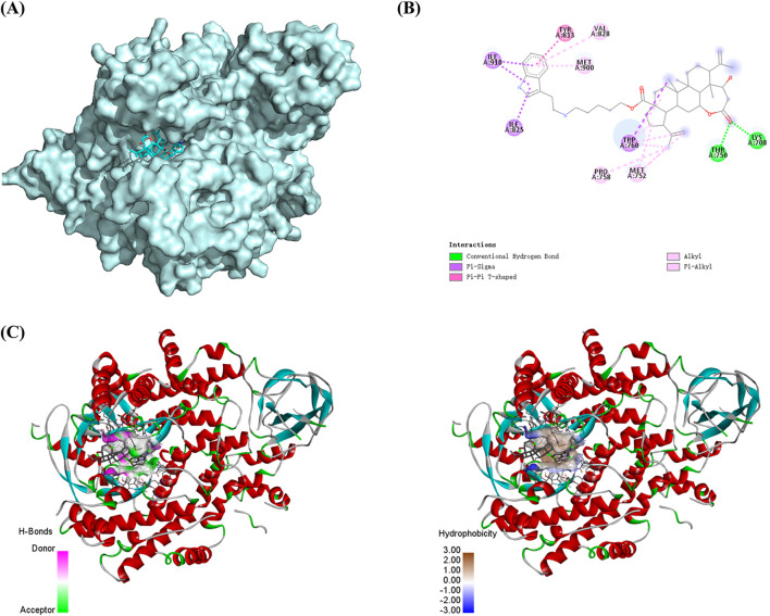Figure 31