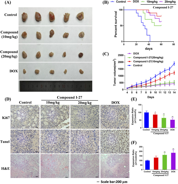 Figure 32