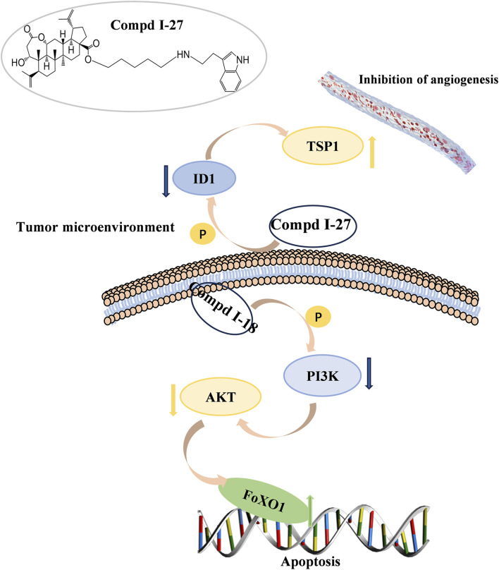Figure 35