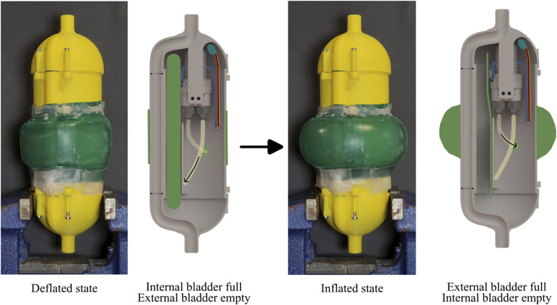 Figure 12