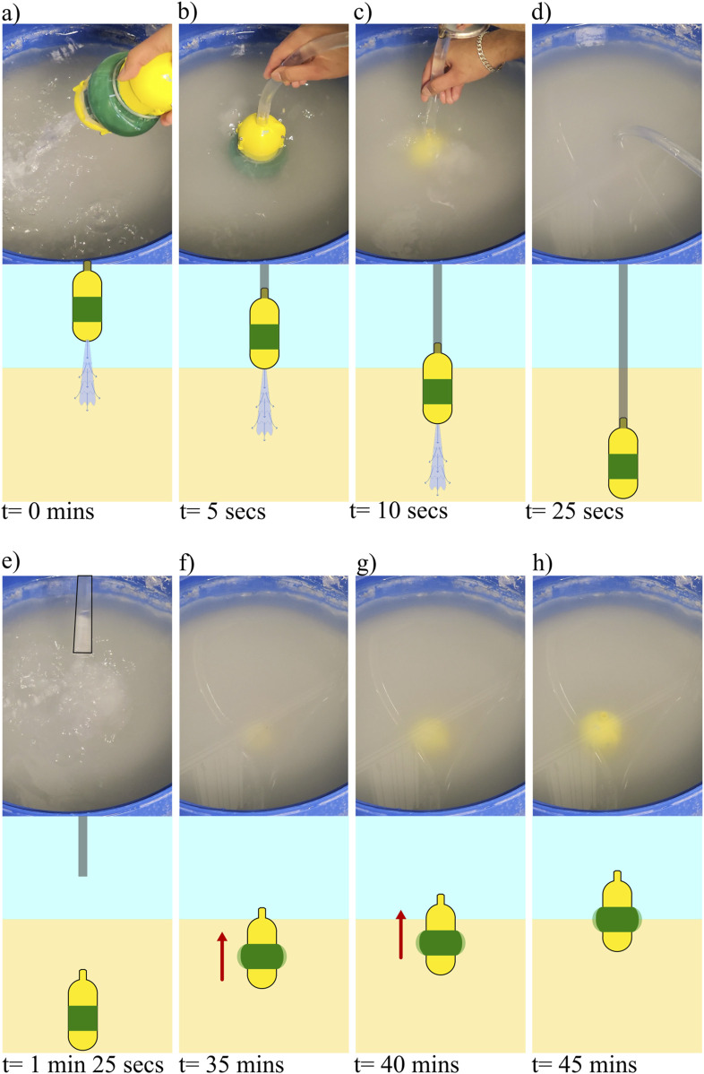 Figure 13